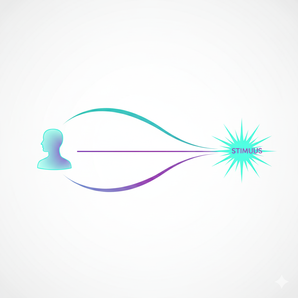Diagram showing the timeline of a stimulus and the body reacting beforehand